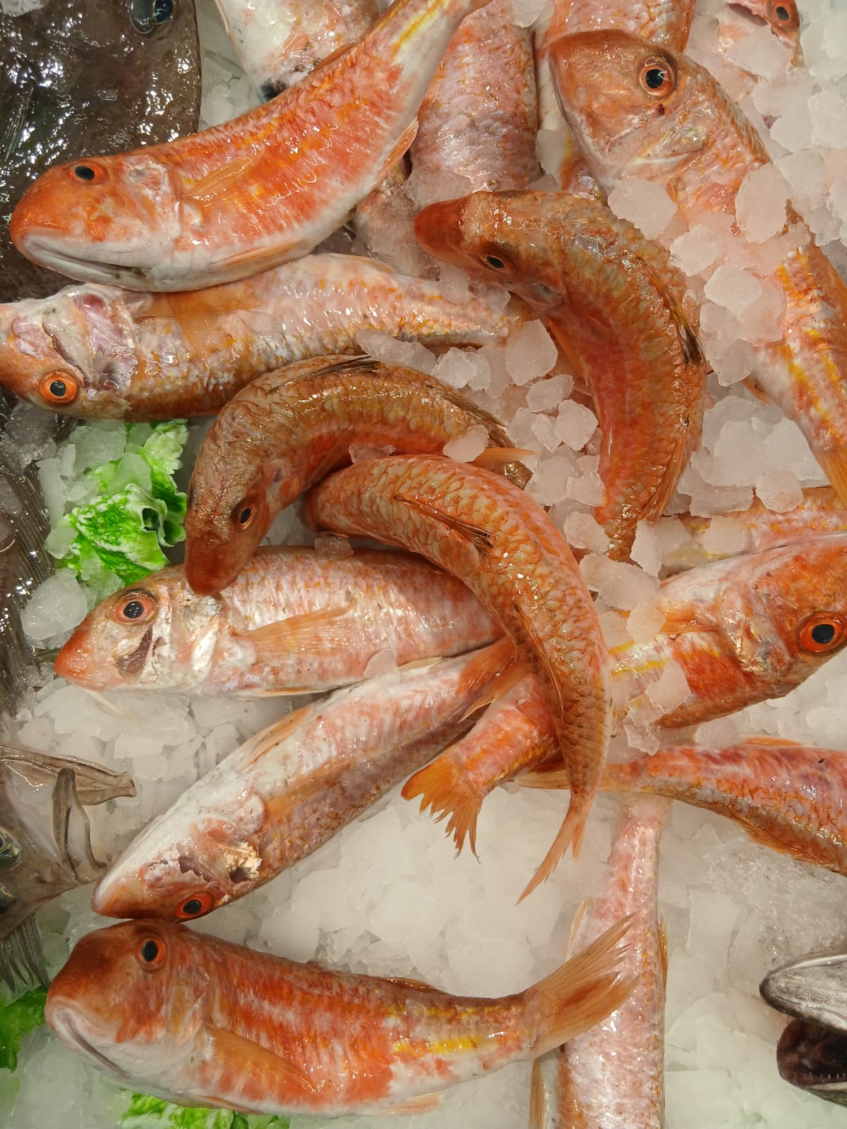Oferta treball peixateria